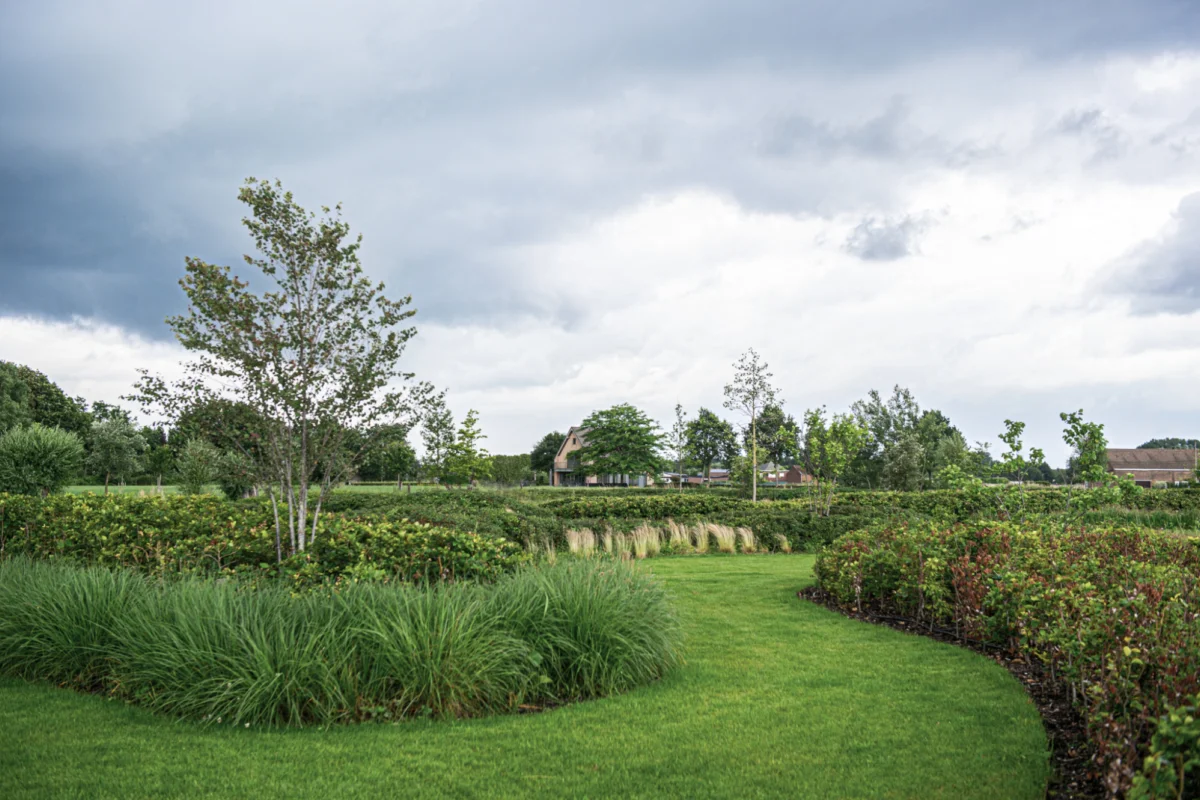 Siergrassen high-end tuin Heffen