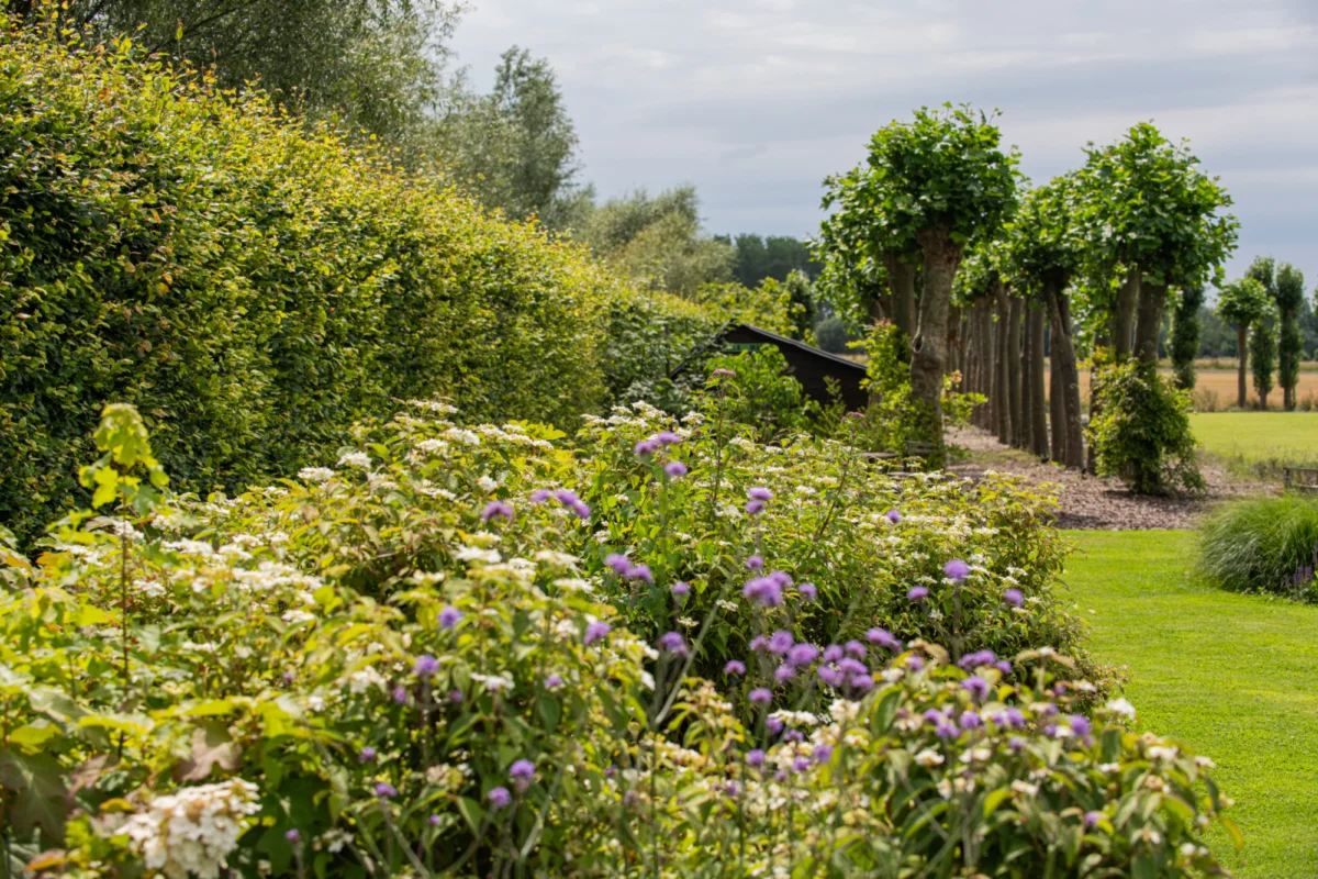 Tuinarchitectuur Puurs Tim De Winne realisatie