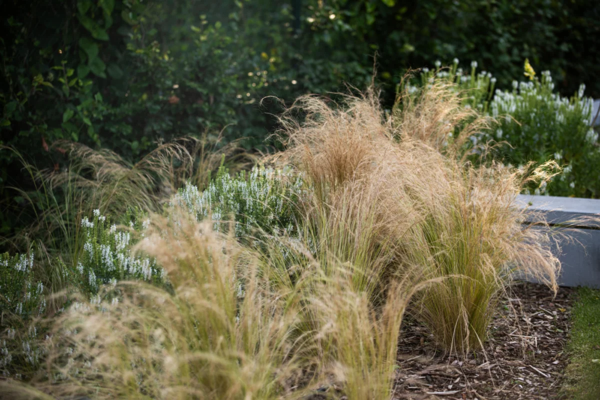 Natuurlijke tuin comfortabele beleving tuinarchitectuur