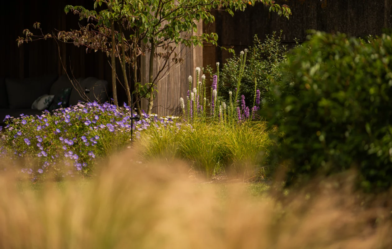 tuinarchitectuur zemst tuinontwerp op maat