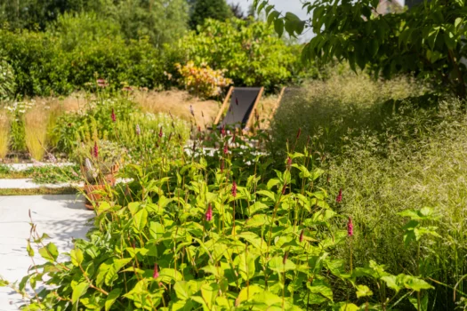 Privacy in de tuin Tim De Winne