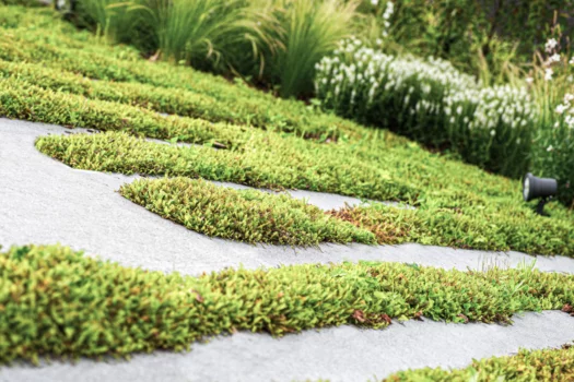 Onderhoudsvriendelijke tuin Tim De Winne