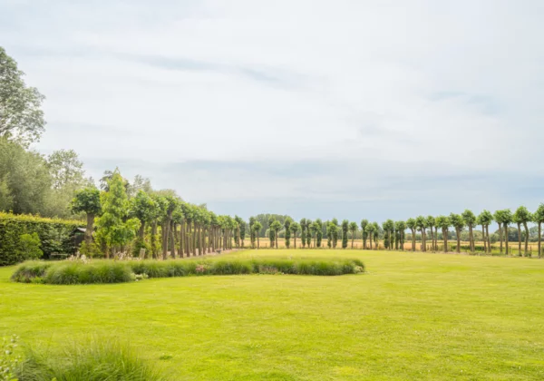 Tuinarchitect tuinarchitectuur veelgestelde vragen