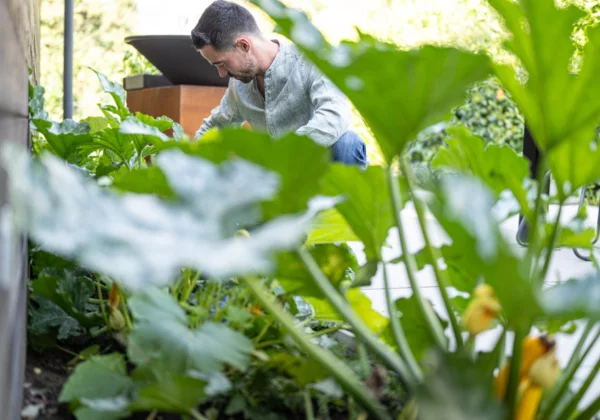 2407 TIMDEWINNE Ellen Goegebuer EGO7135061