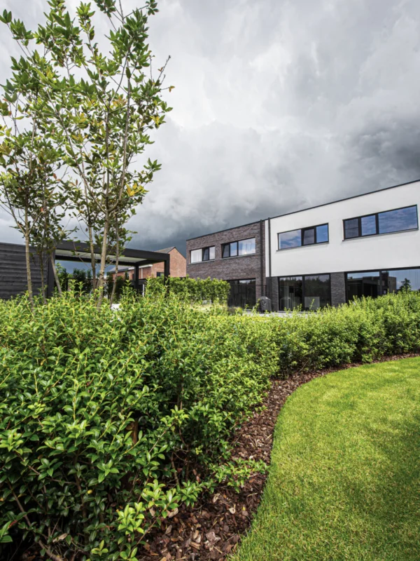 Tuinarchitectuur Muizen Tim De Winne realisatie 12