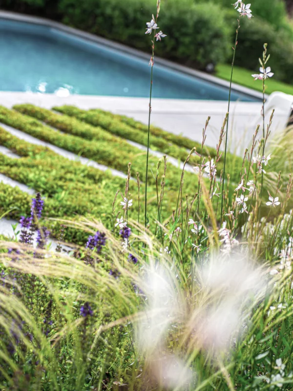 Tuinarchitectuur Muizen Tim De Winne realisatie 12