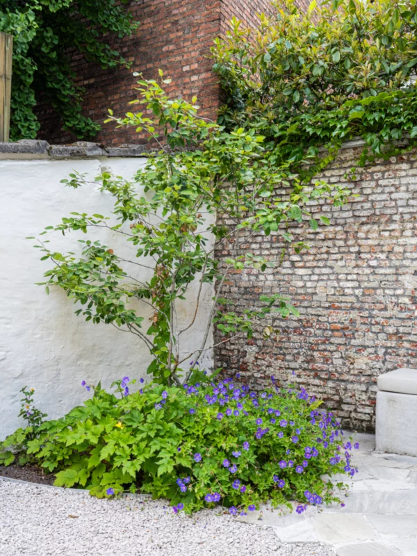 Tuinarchitectuur Antwerpen Tim De Winne realisatie 16