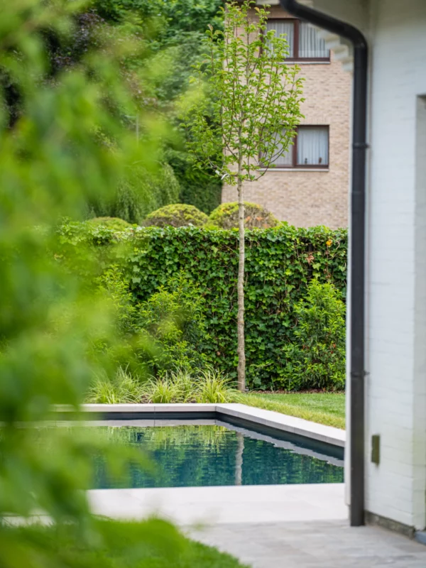 Tuinarchitectuur Antwerpen Tim De Winne realisatie 17