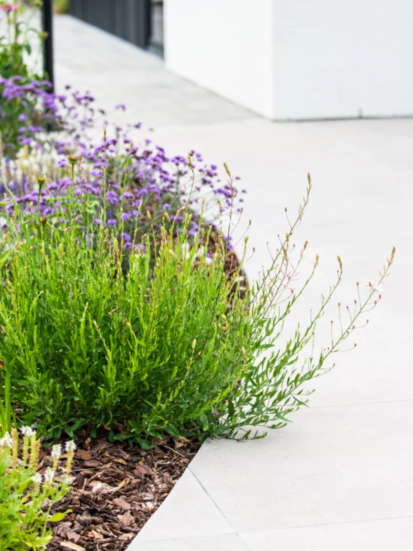 Tuinarchitectuur Antwerpen Tim De Winne realisatie 17