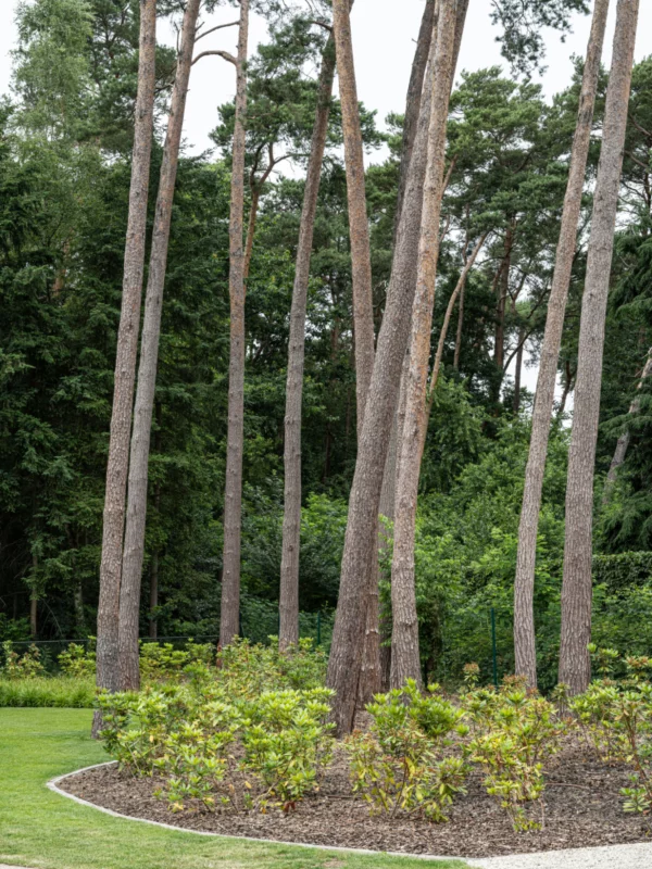 Tuinarchitectuur Keerbergen Tim De Winne realisatie 13