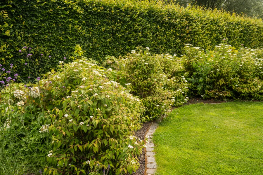 Tuinarchitectuur Puurs Tim De Winne