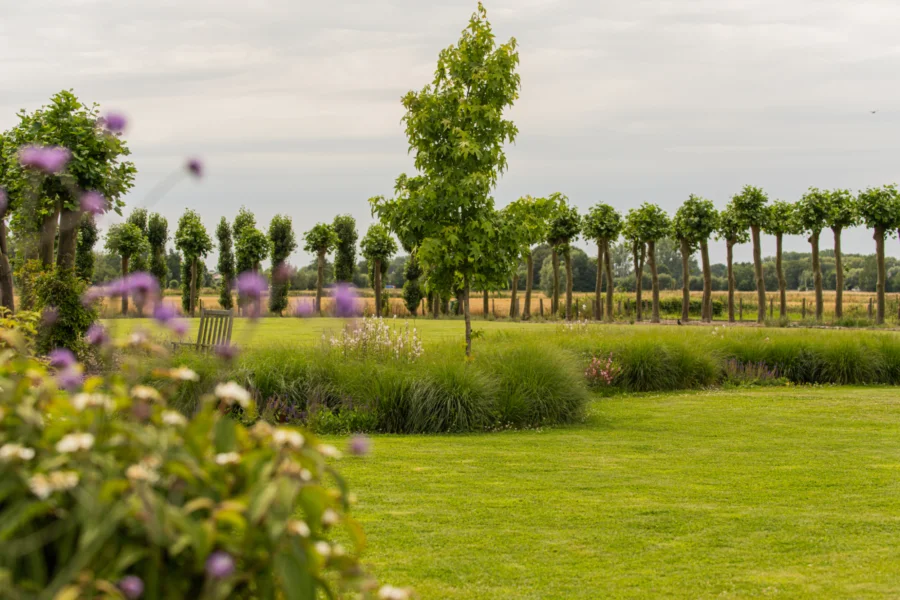 Tuinontwerp Puurs Tim De Winne realisatie