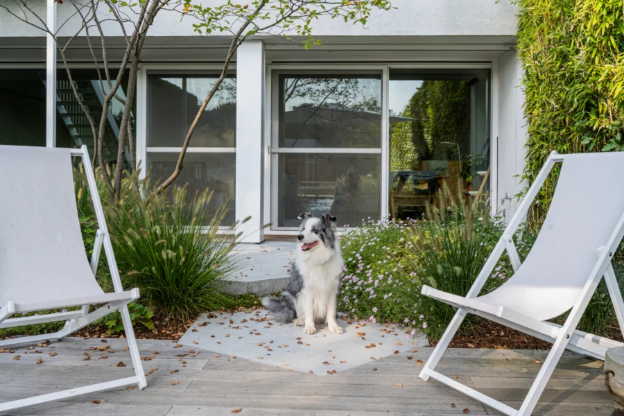 Diervriendelijk tuinontwerp Mechelen