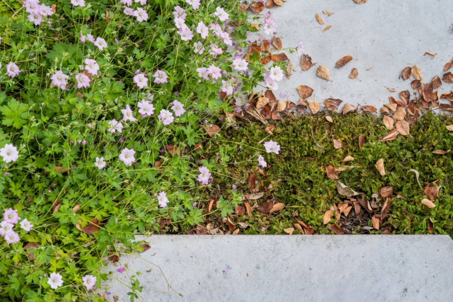 Tuinarchitect Mechelen Tim De Winne