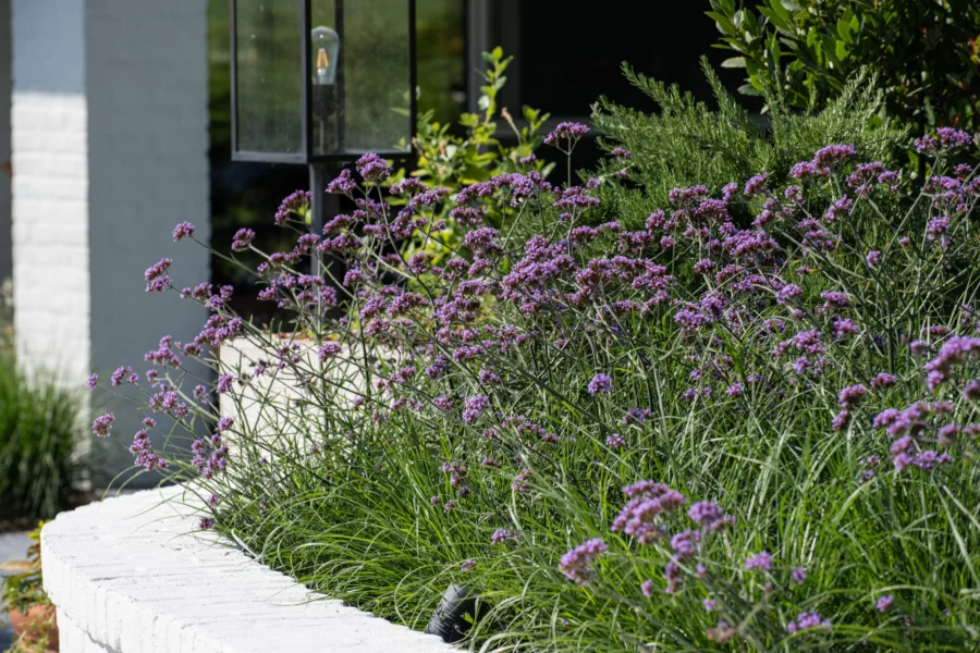 Tuinarchitectuur Oud Heverlee Tim De Winne 8